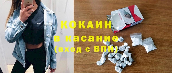 стафф Алексин